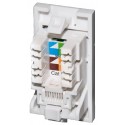 Cat5e UTP RJ45 Modules - Euromod Size